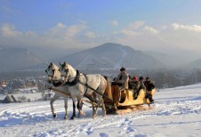 Schlittenfahrt in Zakopane